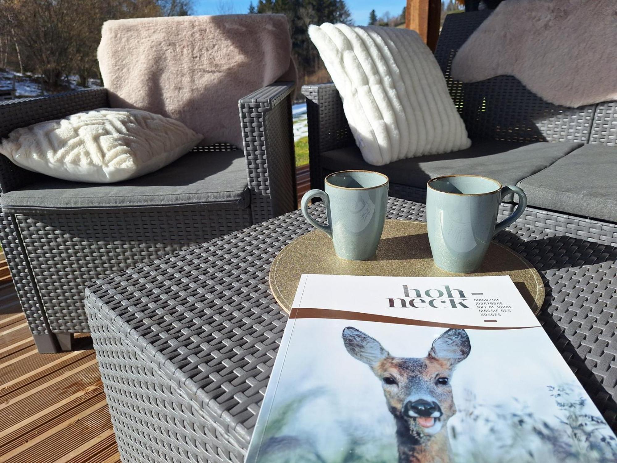 Chalet L'Appel De La Foret Gérardmer Zewnętrze zdjęcie