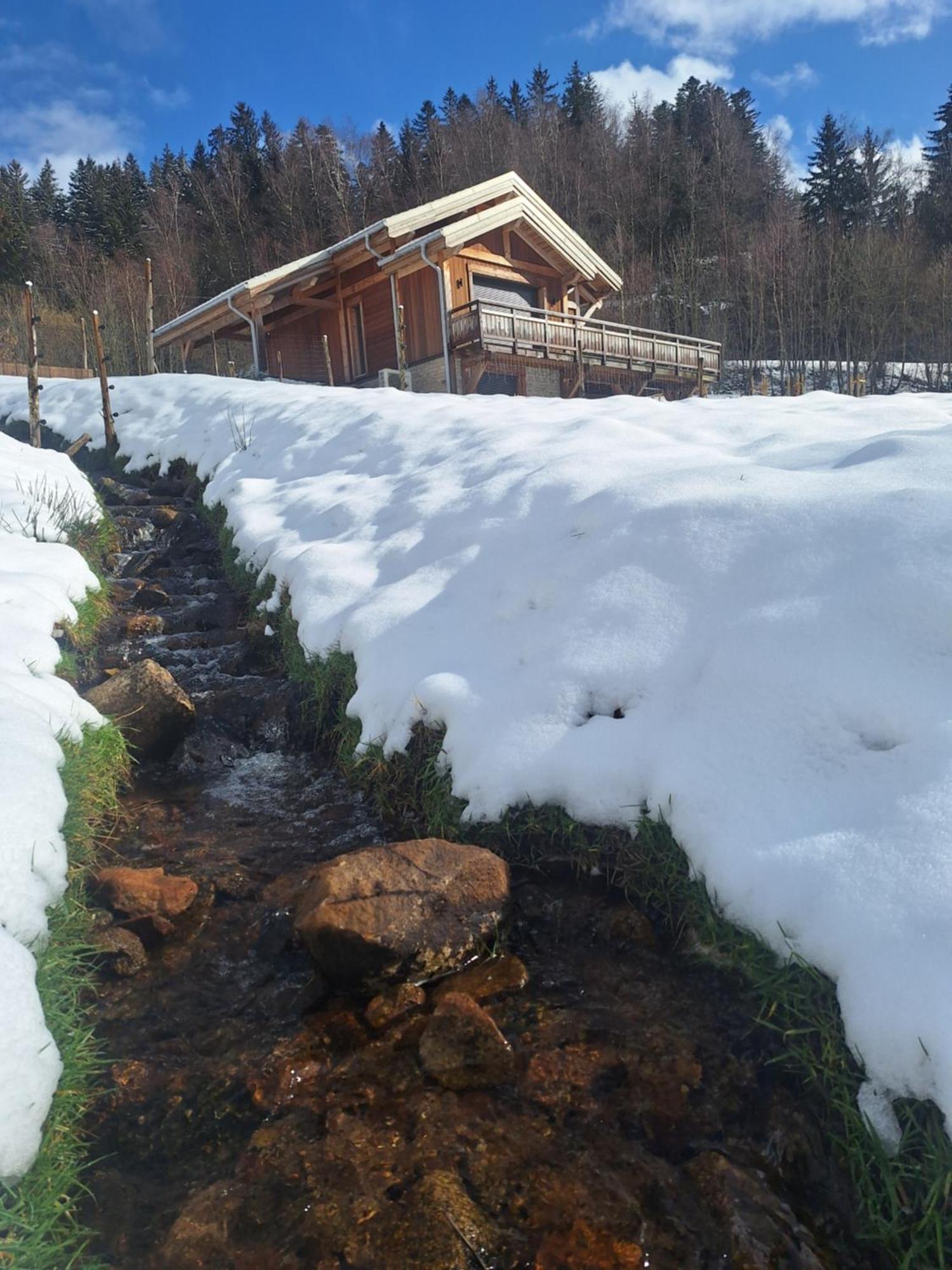 Chalet L'Appel De La Foret Gérardmer Zewnętrze zdjęcie